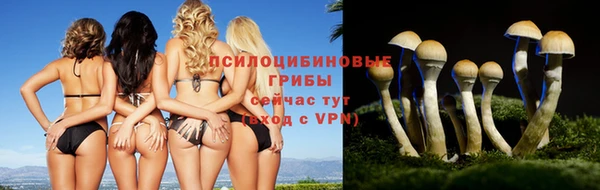 спиды Балабаново