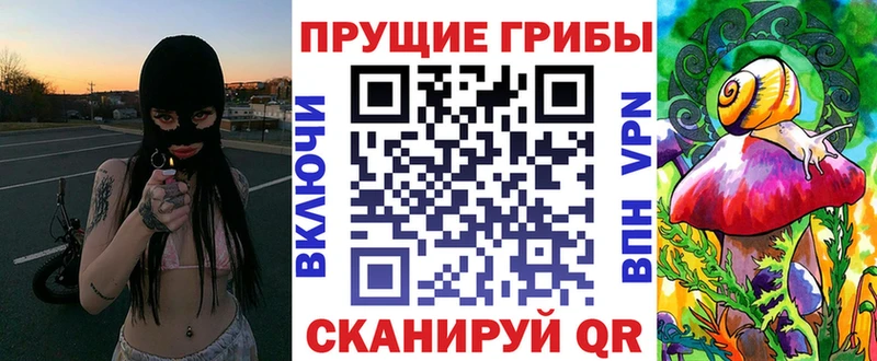 Псилоцибиновые грибы MAGIC MUSHROOMS  как найти закладки  Зея 