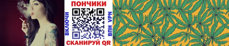 купить  сайты  Зея  Шишки марихуана план 