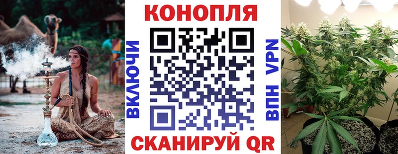 Бошки марихуана гибрид Зея
